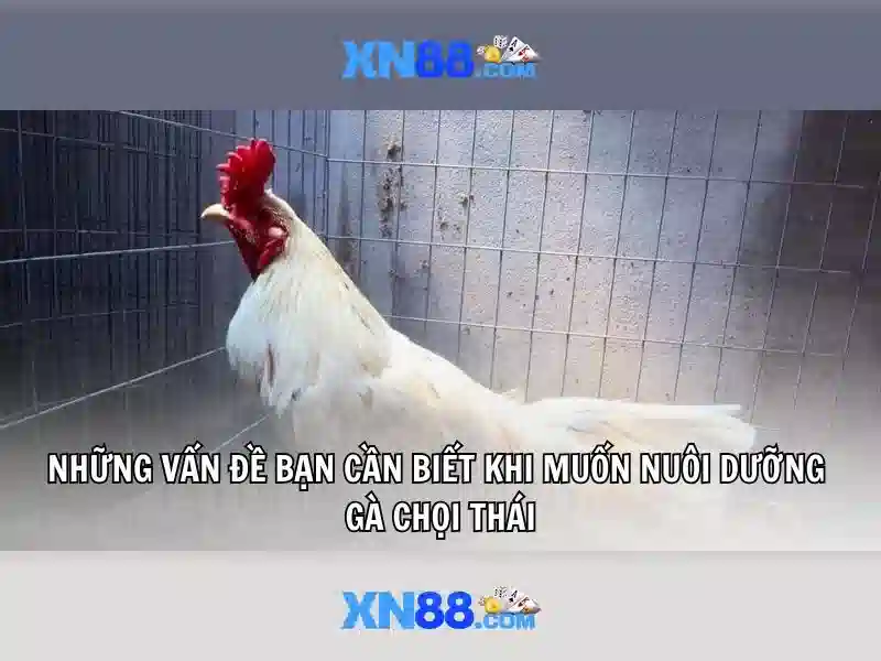  đánh giá Slot - XN88