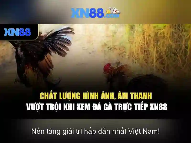 💎sòng bạc trực tuyến frickart💎