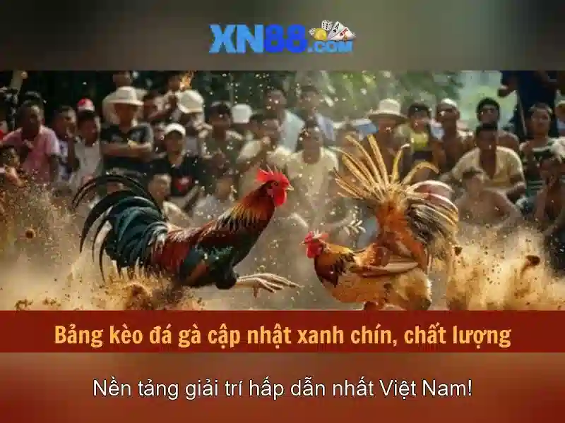  hướng dẫn đăng nhập XN88 - XN88