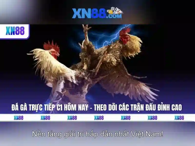 💎xn88 casino⚡️ nhà cái xn88 – cập nhật link vào mới nhất 2025 thành phố hồ chí minh💎