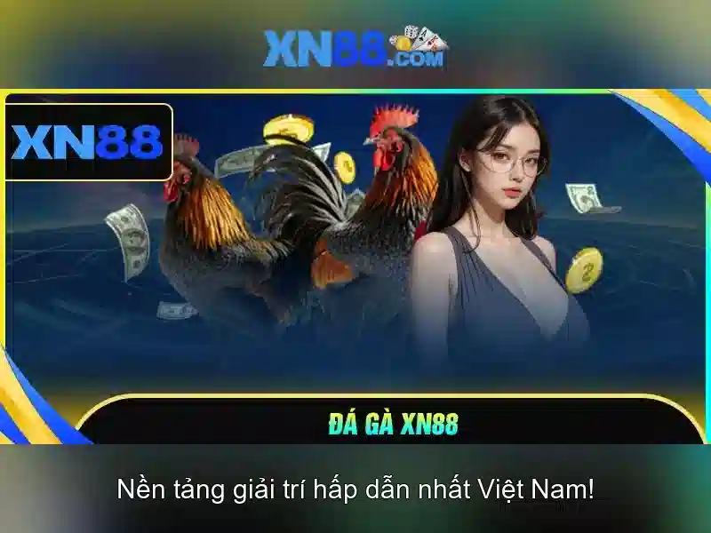 💎bk8 website cá cược bk8 châu á💎