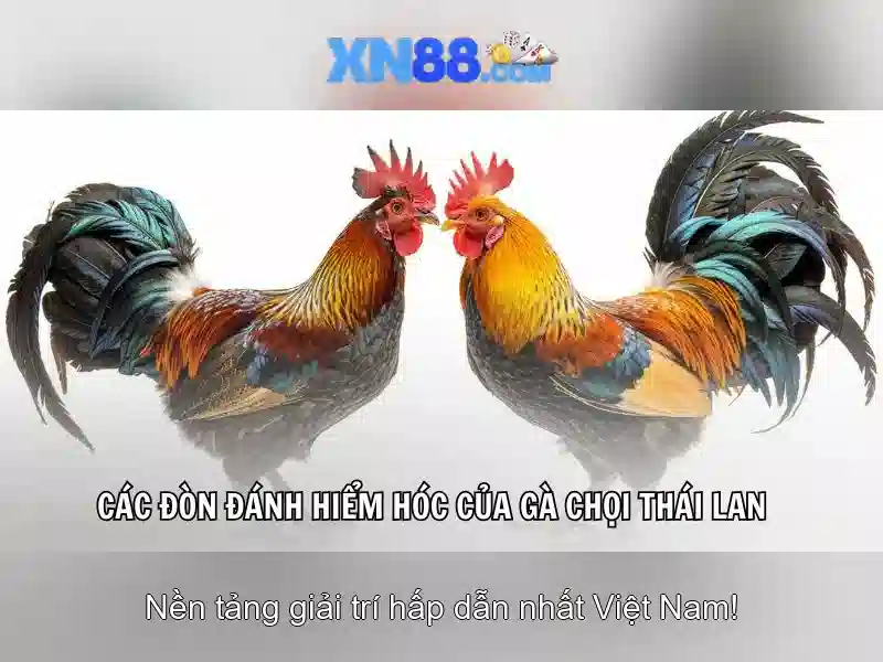 💎it act 66b💎 - 66b chính thức - lộc quán 66b đặng tiến đông