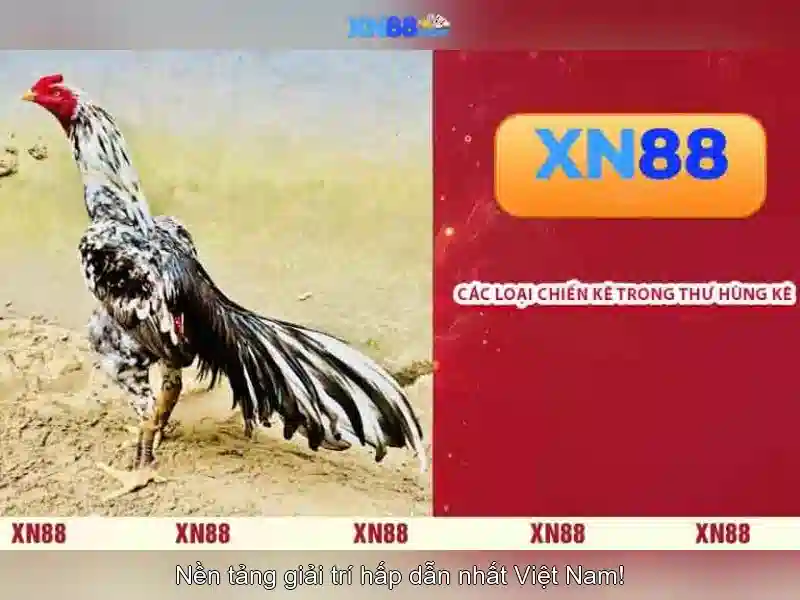 💎888slot affiliate💎
