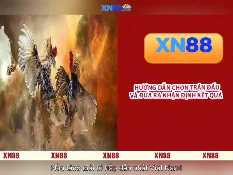 thể thao - XN88