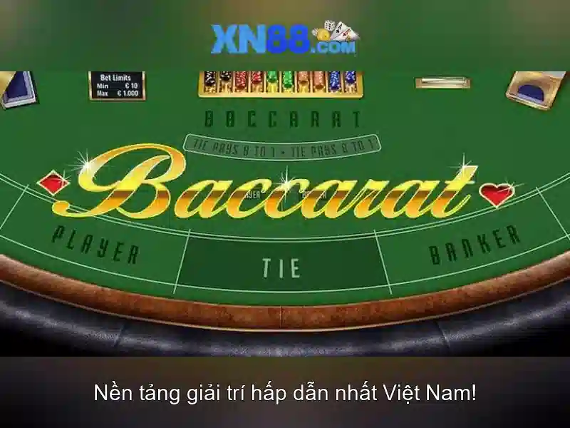 💎tổ chức đánh bạc là vi phạm gì💎