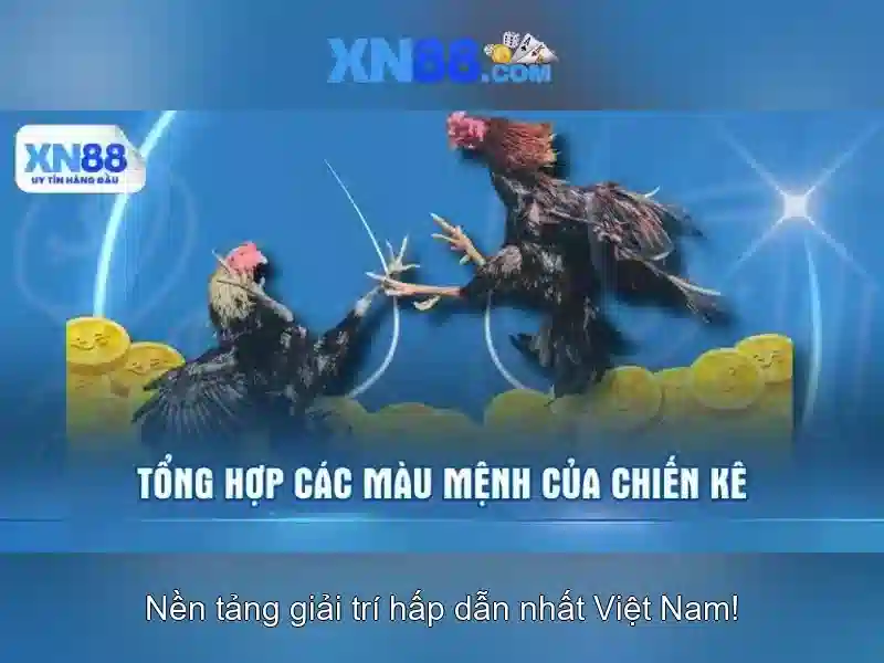 💎nha cai 789 .org💎