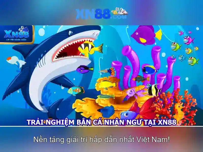 💎188 xn88💎