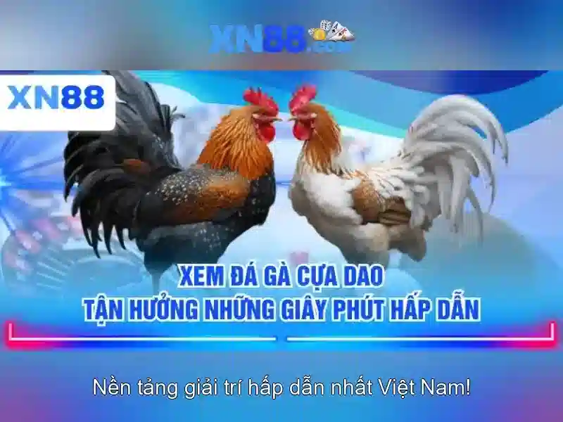 💎cá cược bóng đá clubsportivoestudiantes💎