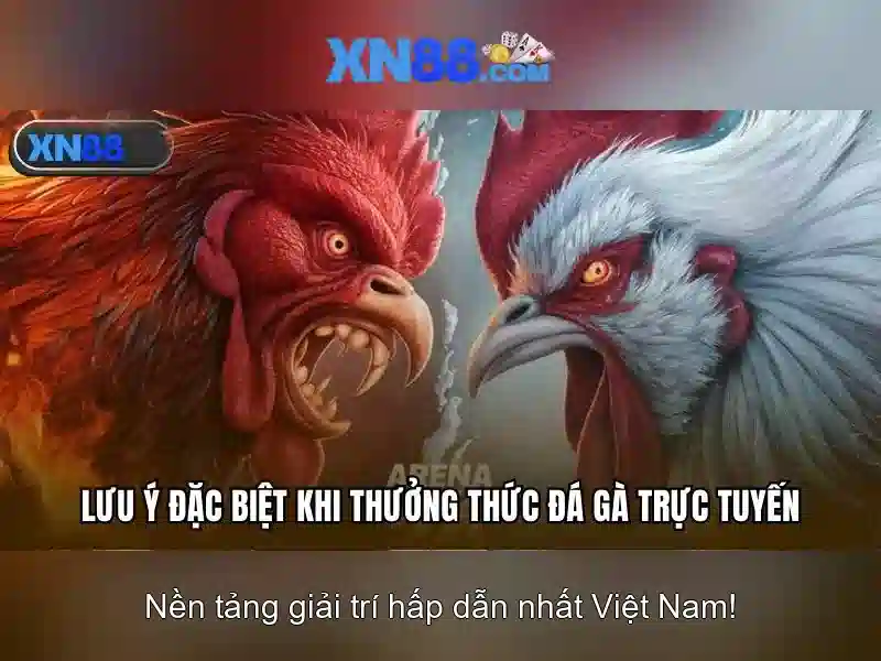 XN88 Đăng Nhập - Trải Nghiệm Slot Vàng 2026 Với Giao Diện Đỉnh Cao - XN88