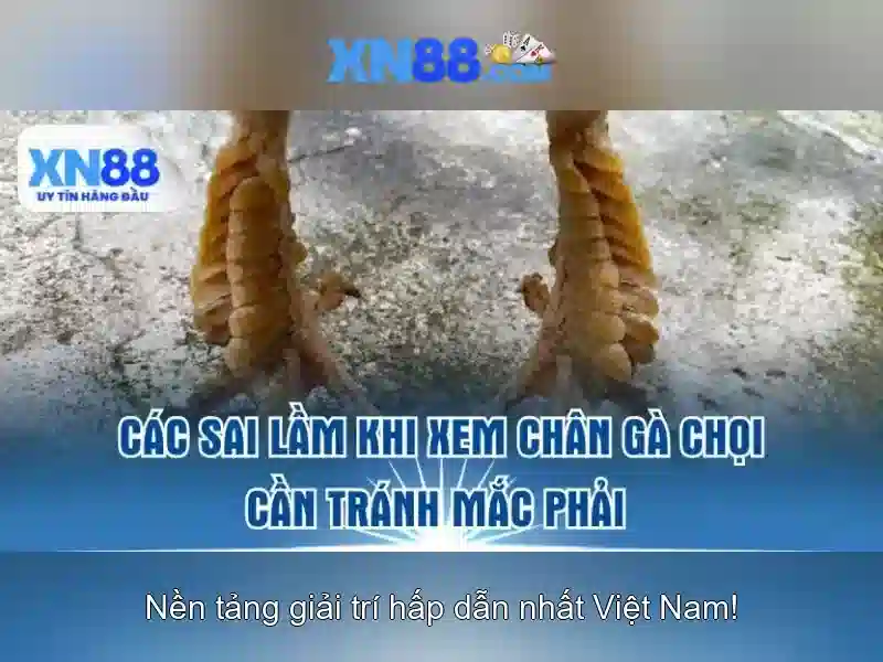 💎nhà cái uy tín onlinecashino💎