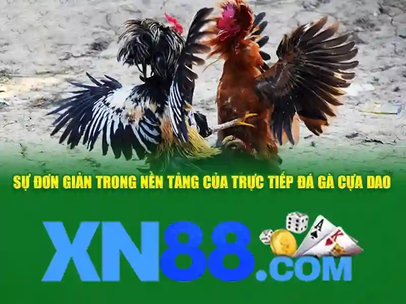 💎kèo nhà cái world cup 2018💎