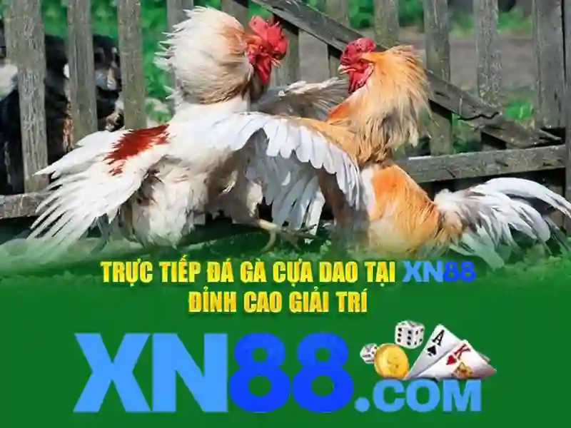 💎nhà cái uy tín eco💎